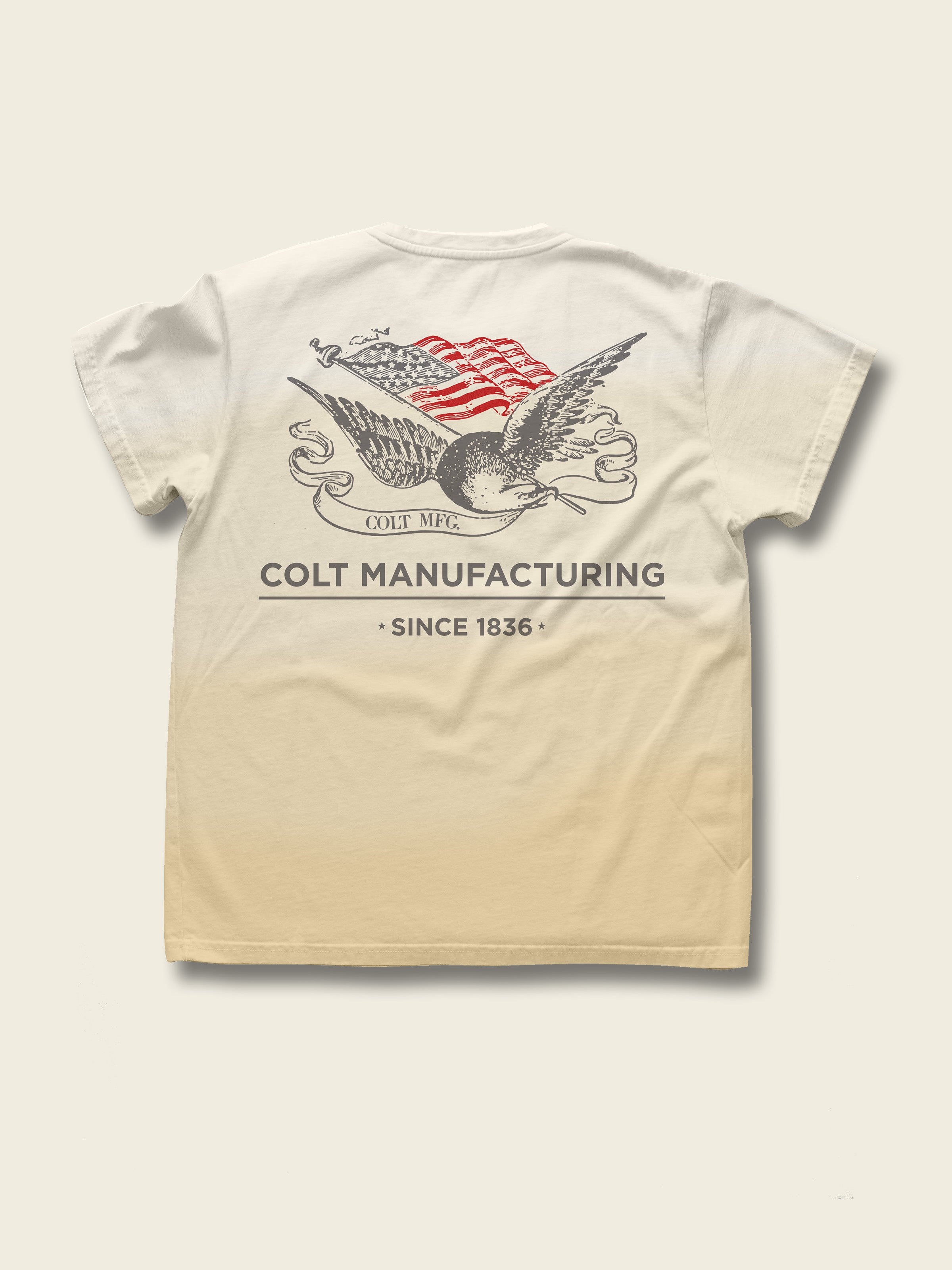 Eagle & Flag Short Sleeve T-Shirt in Sunfaded Parchment