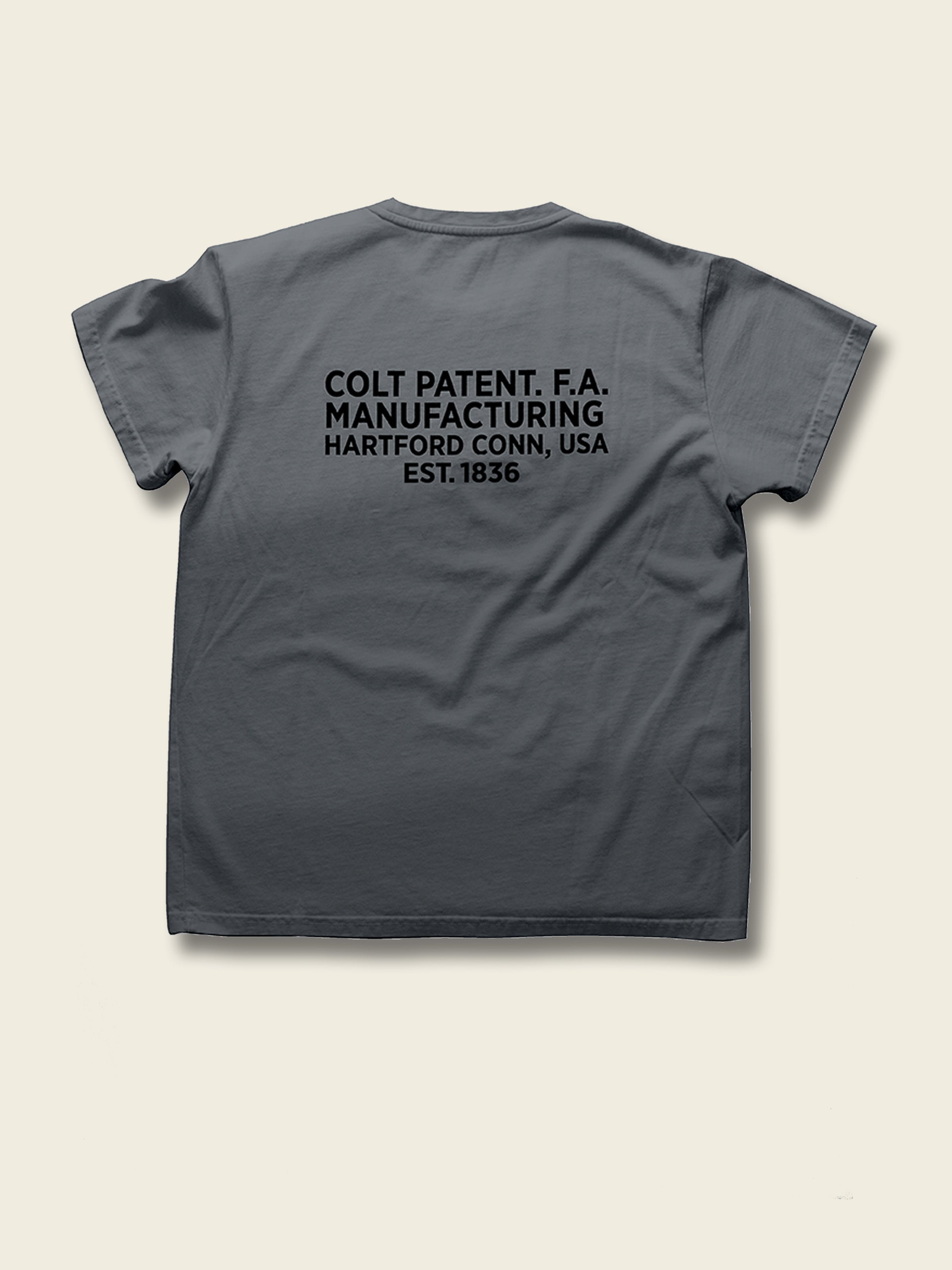 CFA Rampant Colt T-Shirt in Sunfaded Grey